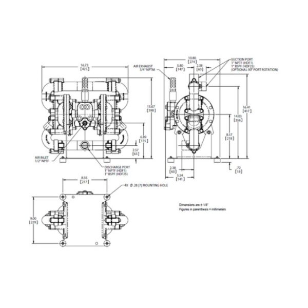 X25 Metallic - Image 2